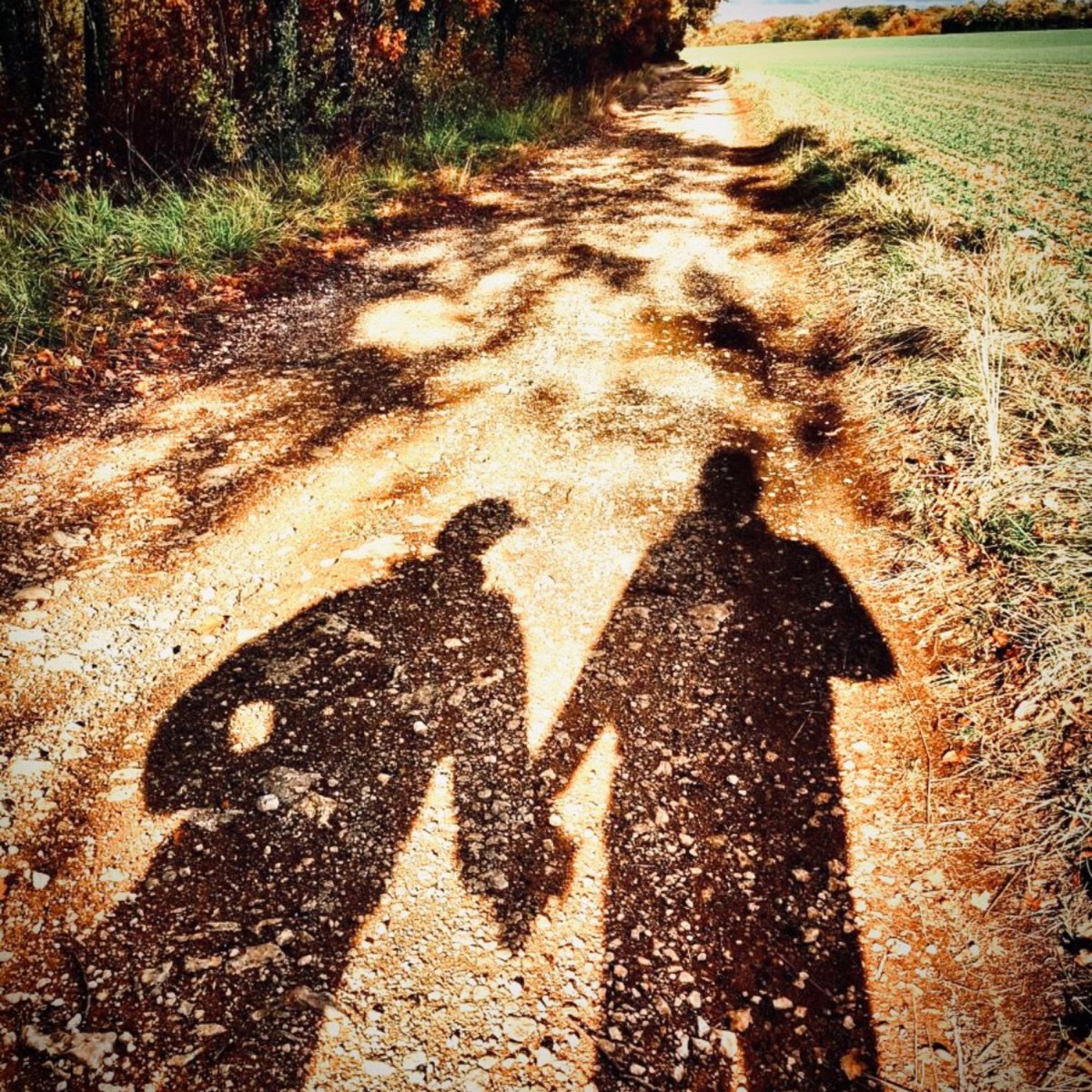 Walk This Earth (feat. LA ZED) - Single by Whoppa556 album cover
