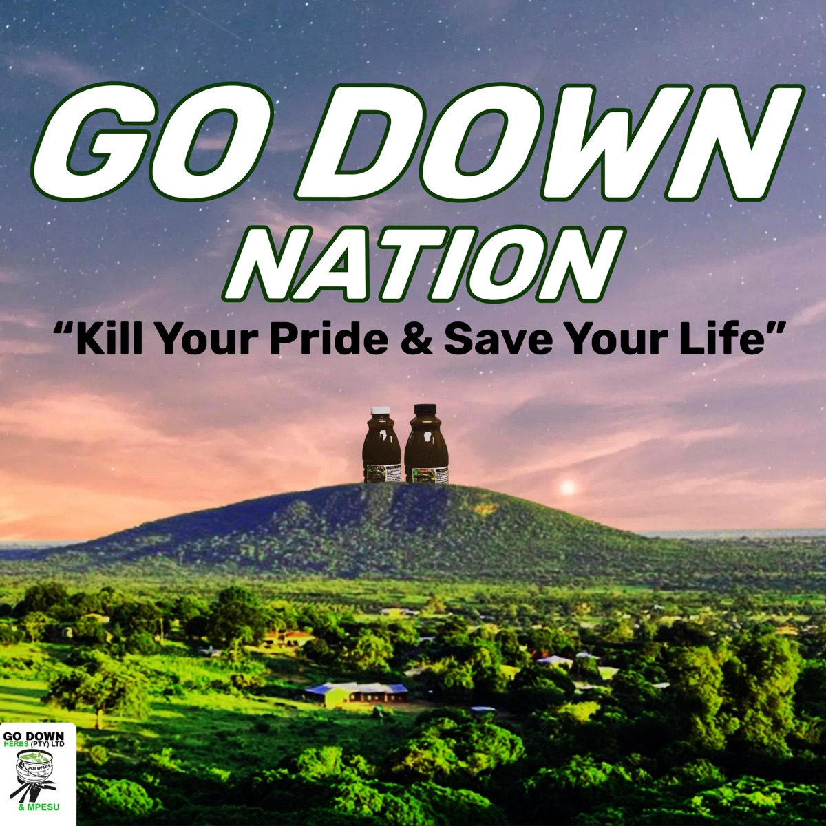 Kill Your Pride & Save Your Life (feat. Tshepo & Asa Tee) - Single by Go Down Nation album cover
