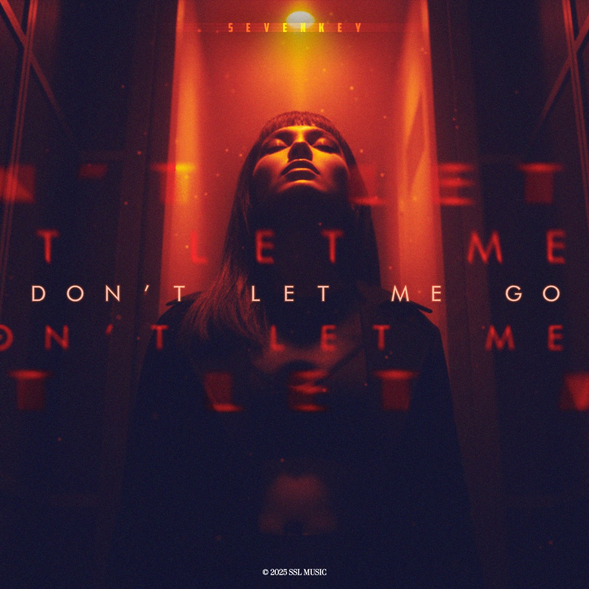Don't Let Me Go - Single by Sevenkey album cover