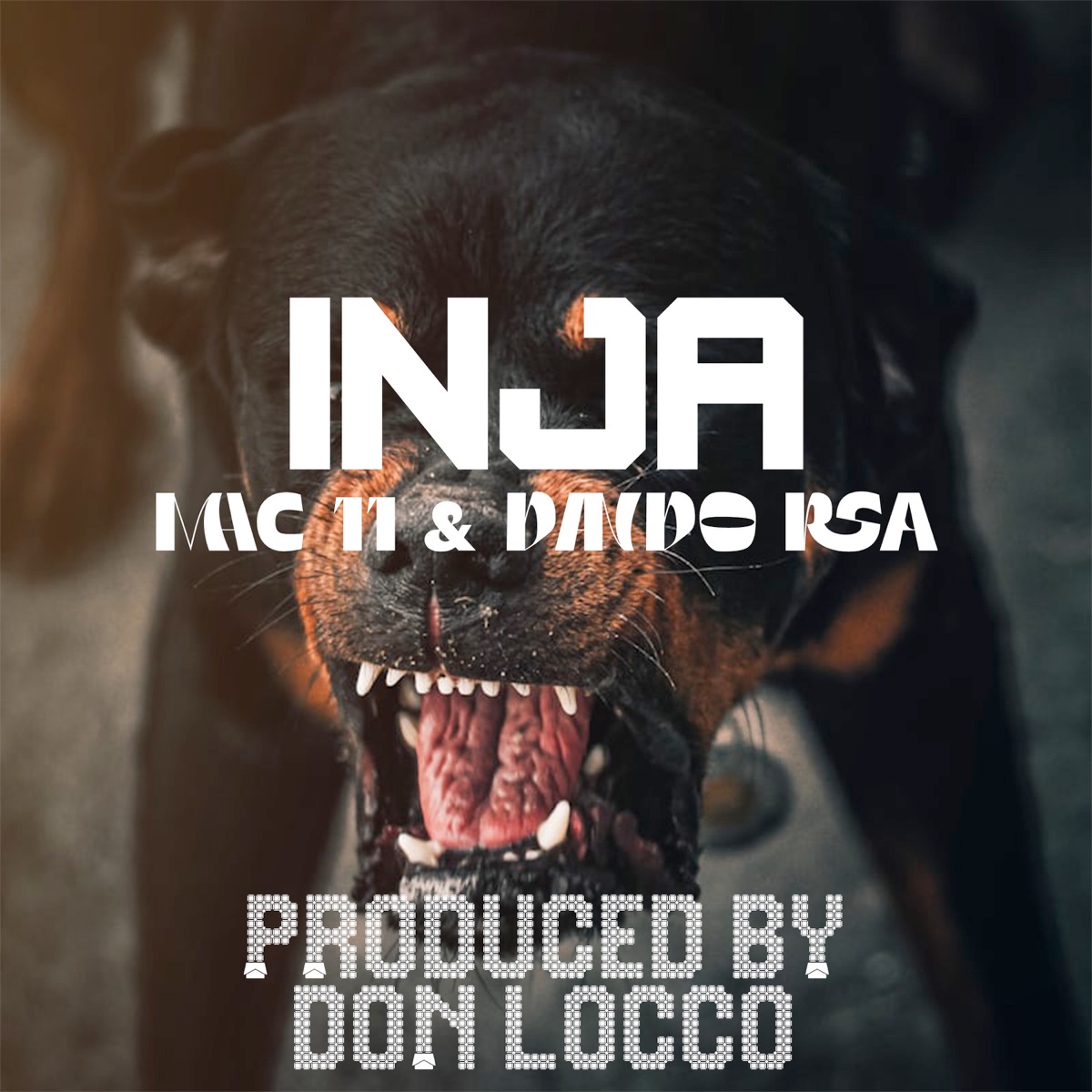 Inja (feat. Mac 11 & DANDO RSA) - Single by Don Locco album cover