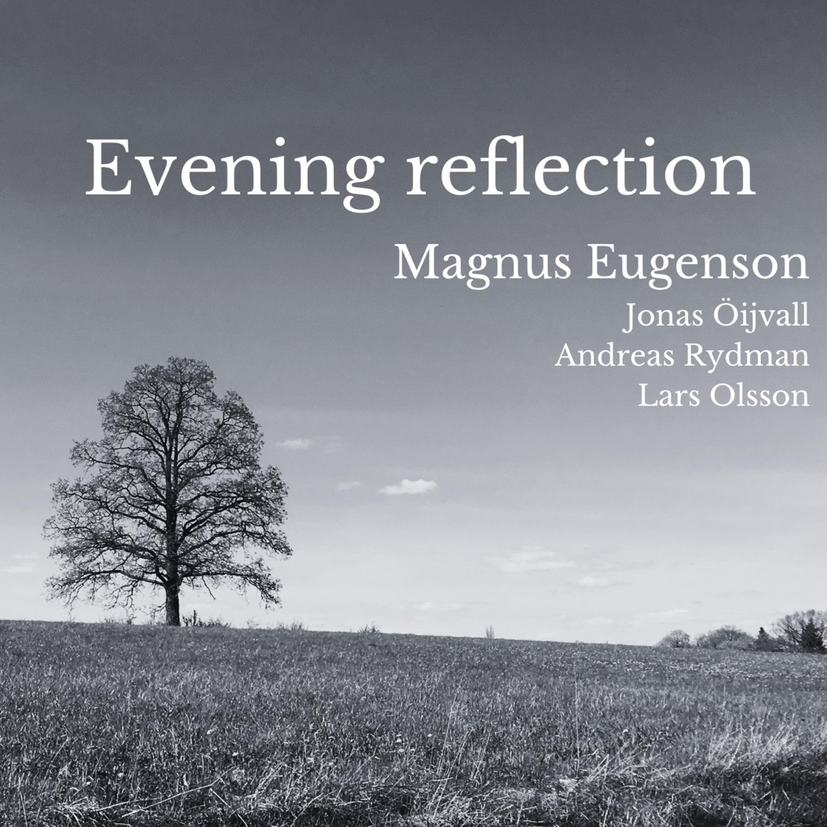 Evening reflection (feat. Jonas Öijvall, Andreas Rydman & Lars Olsson) - Single by Magnus Eugenson album cover
