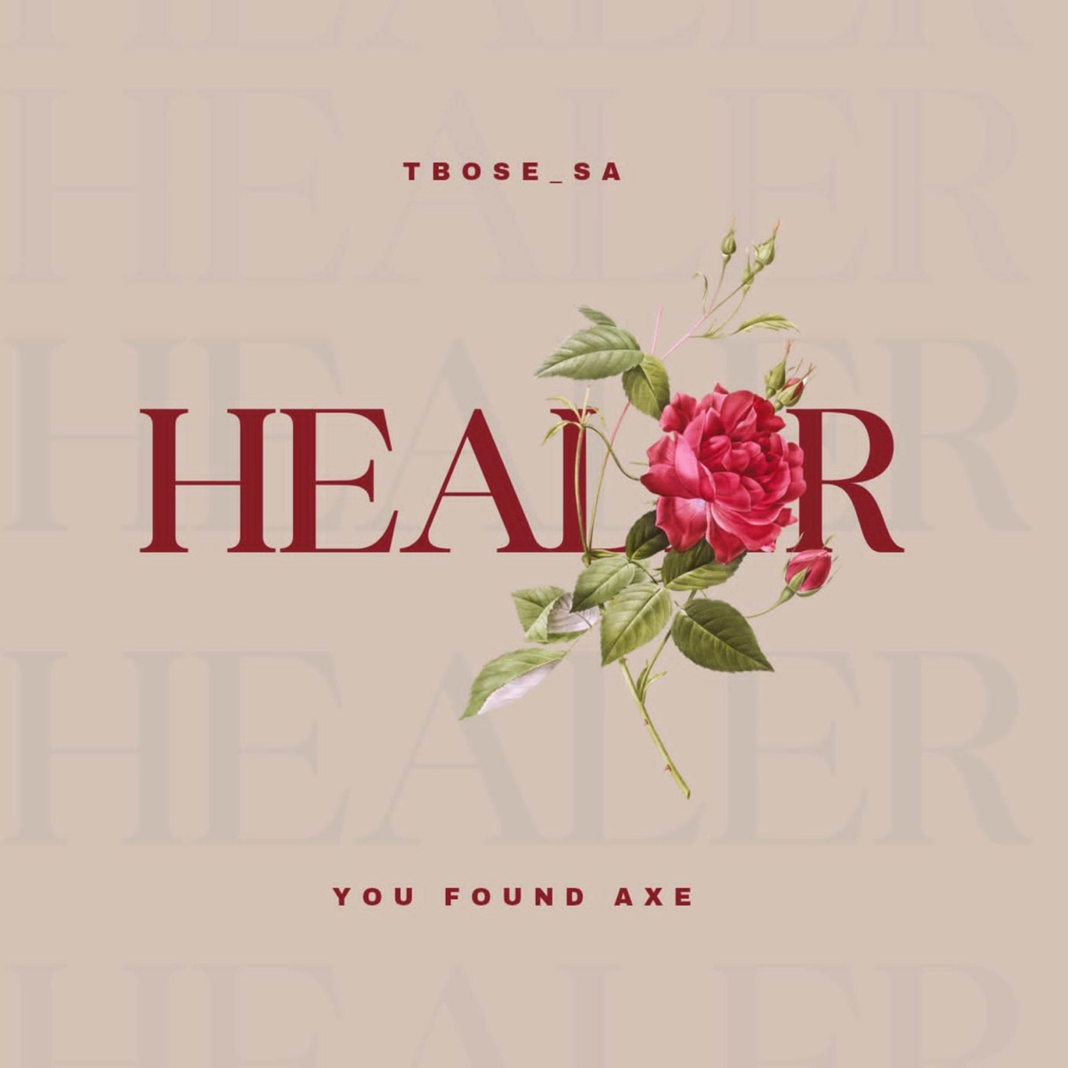 Healer - Single by Tbose_SA & You Found Axe album cover