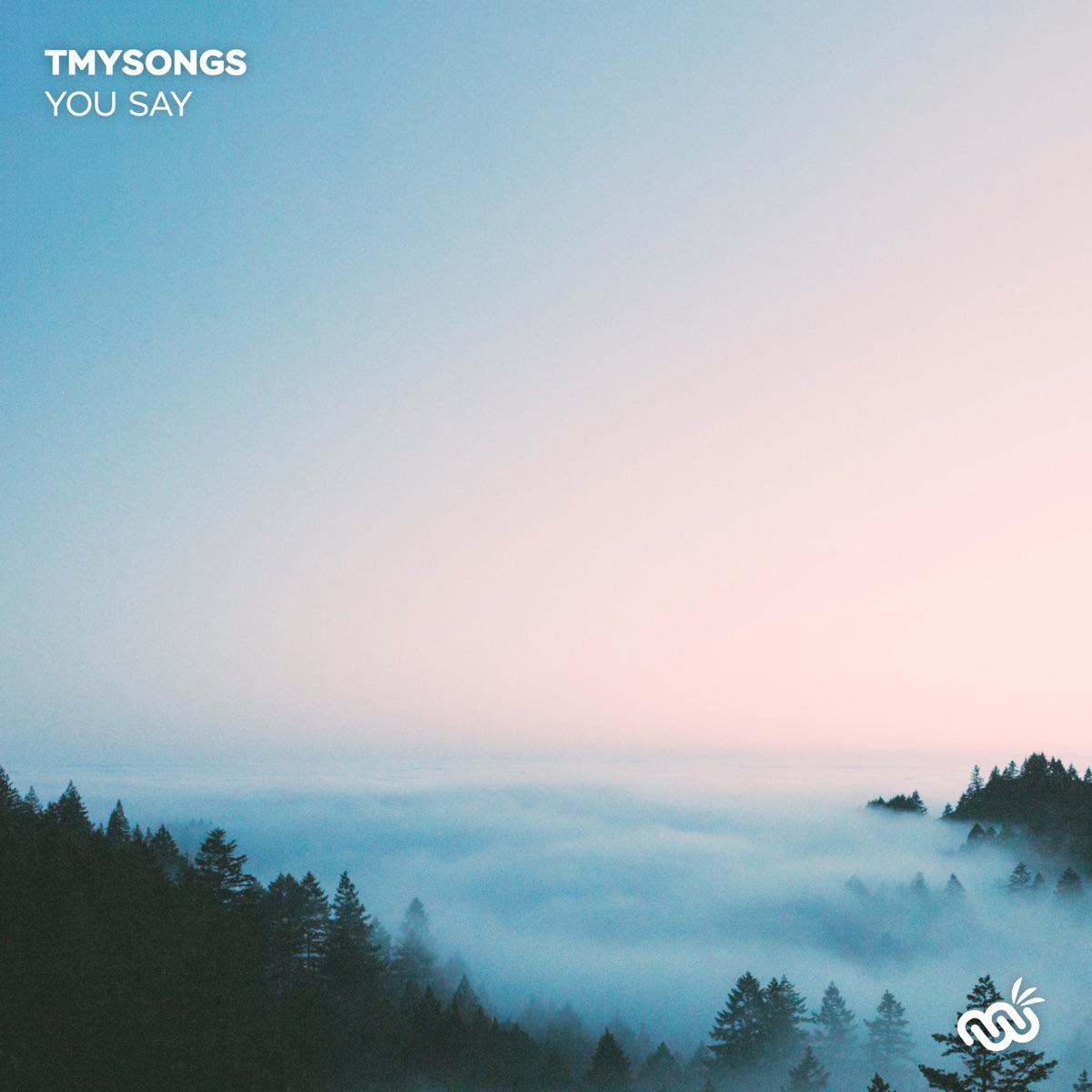 You Say - Single by tmysongs album cover