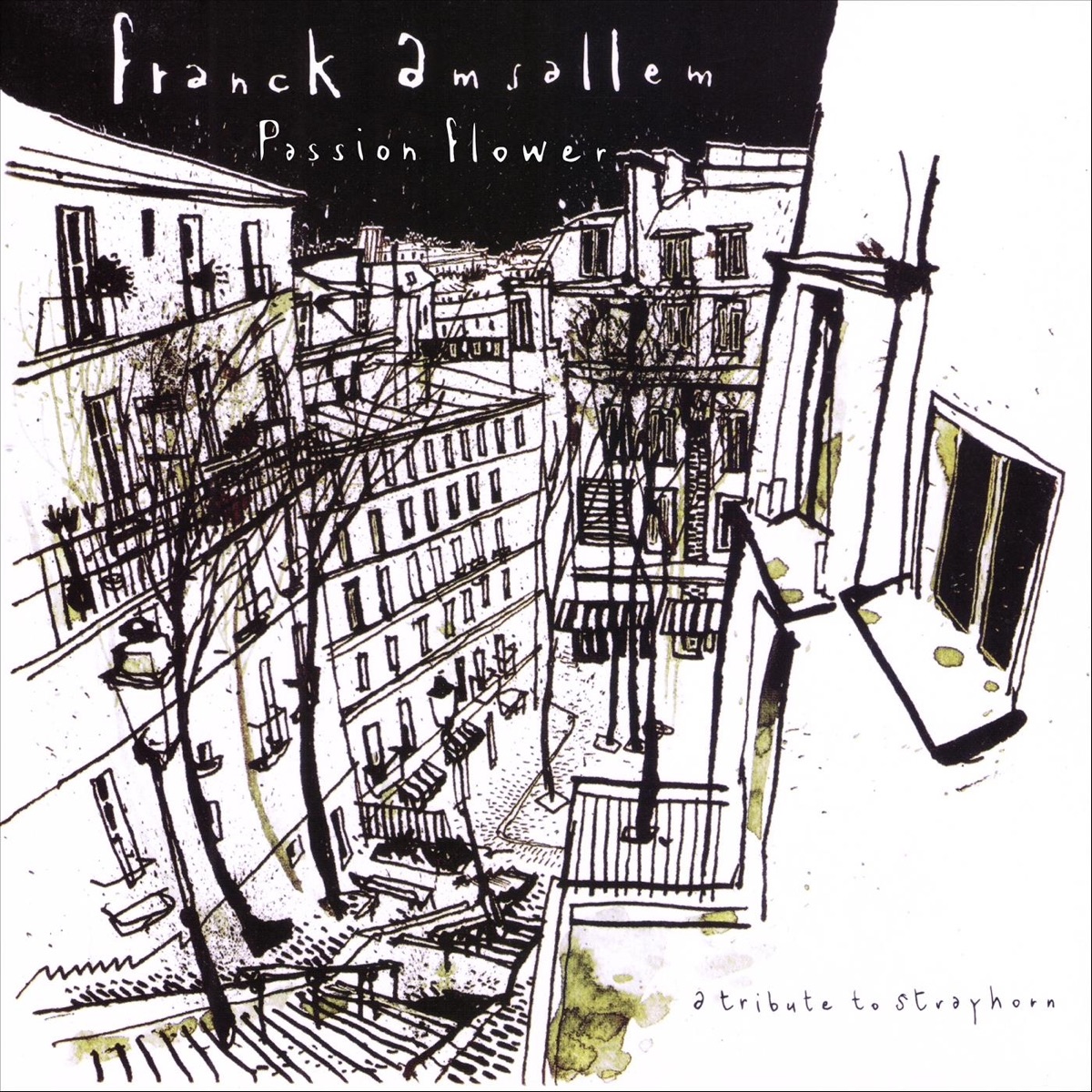 Passion Flower (A Tribute to Strayhorn) - Single by Franck Amsallem album cover