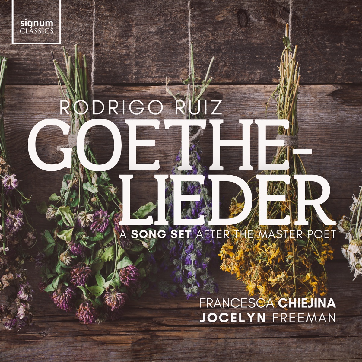 Rodrigo Ruiz: Goethe Lieder, R. 7 - Single by Francesca Chiejina & Jocelyn Freeman album cover