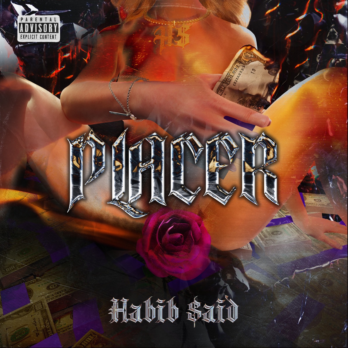 Placer - Single by Habib Said album cover