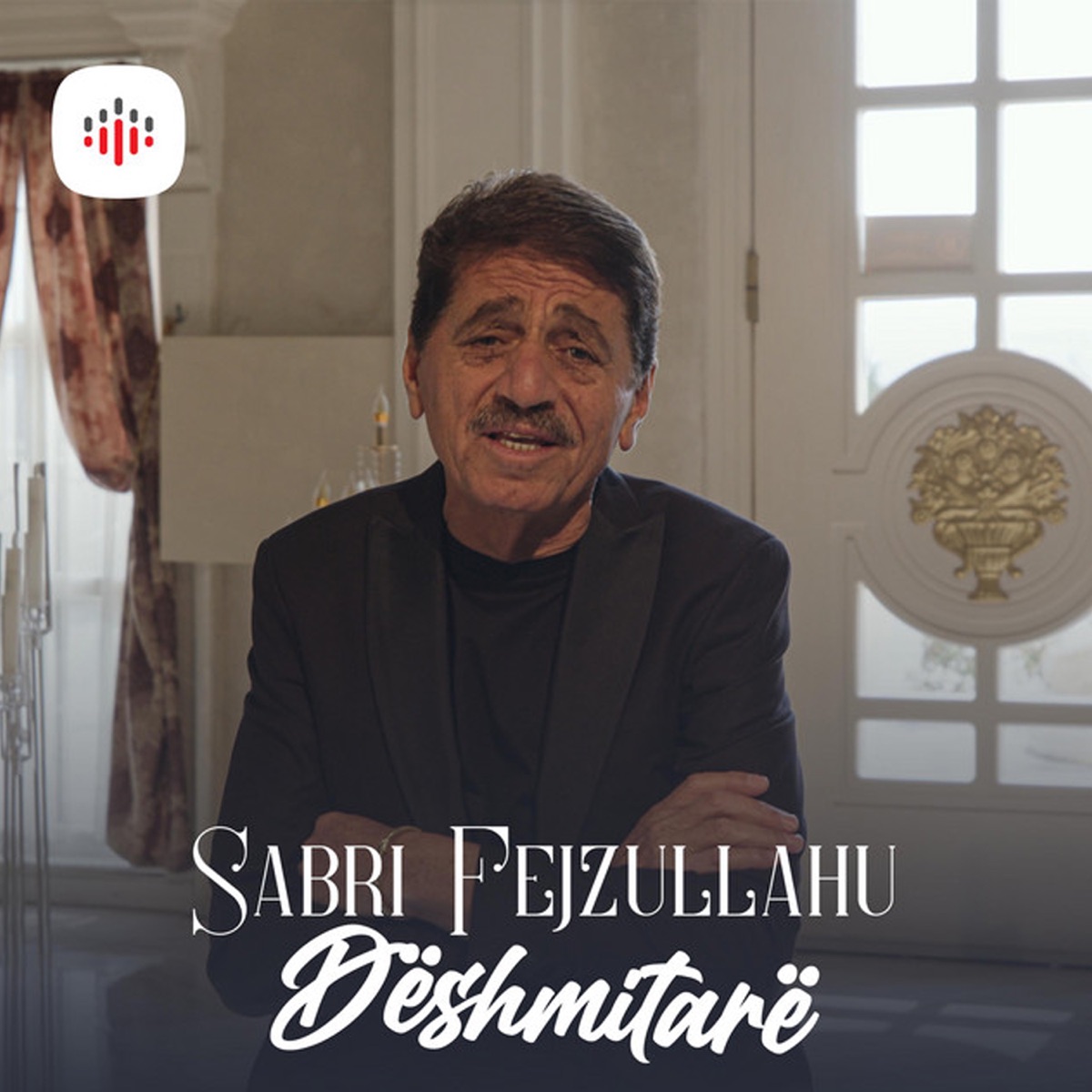 Dëshmitarë - Single by Sabri Fejzullahu album cover