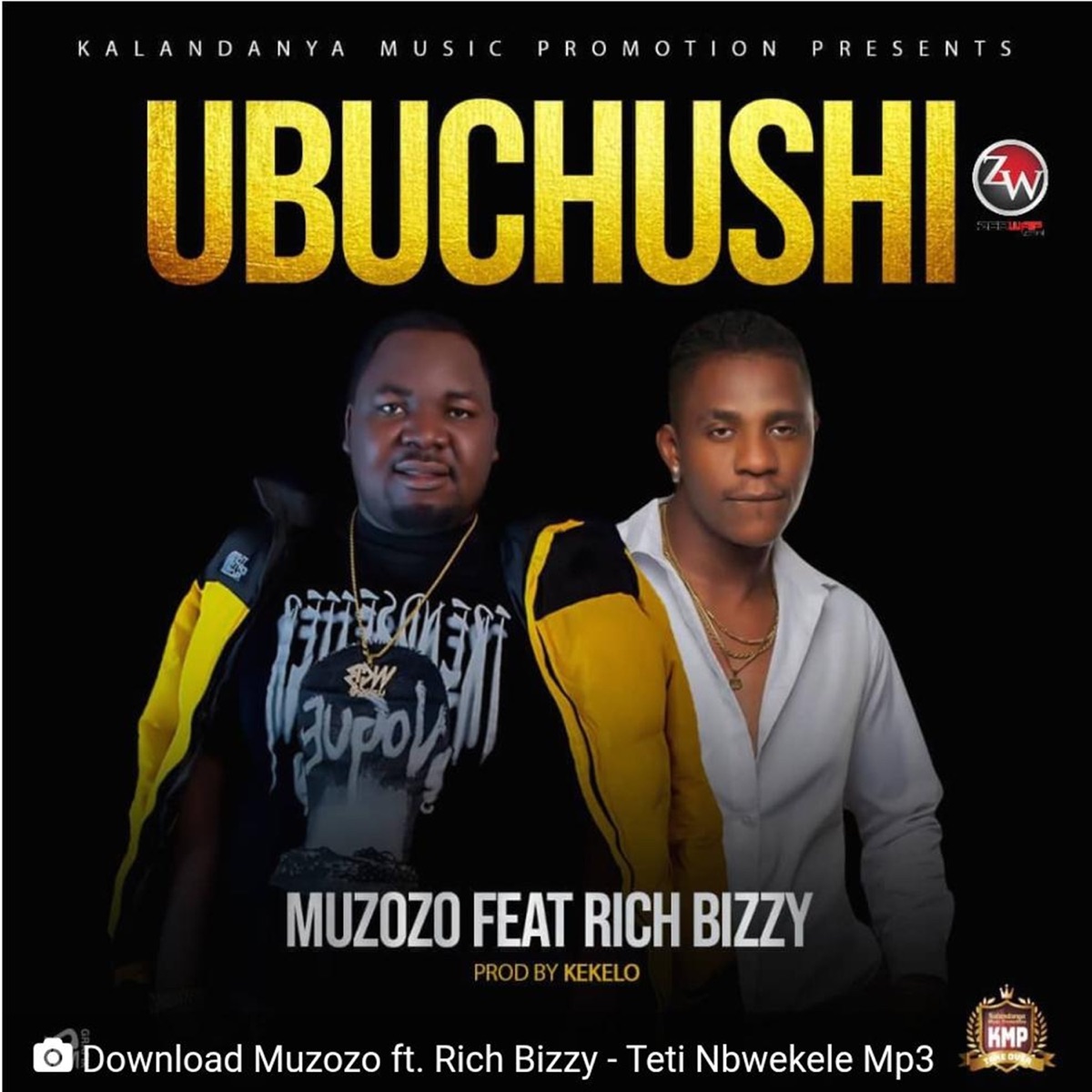 Ubuchushi (feat. Rich Bizzy) - Single by Muzozo album cover