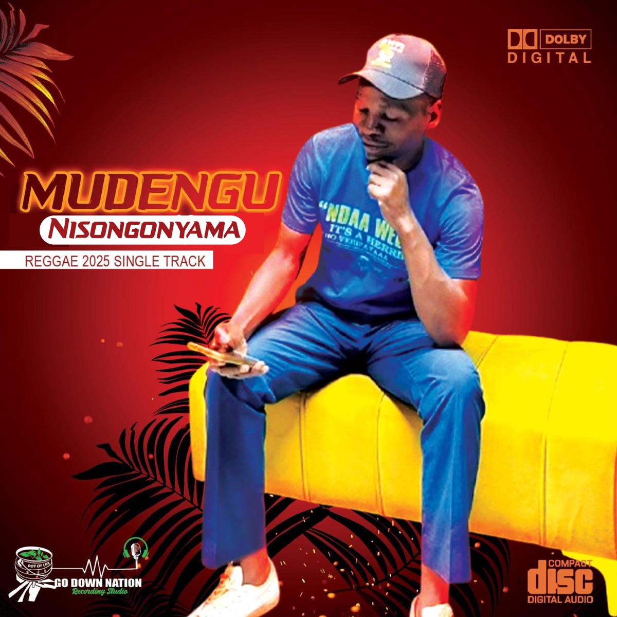 Mudengu - Nisongonyama - Single by Go Down Nation album cover