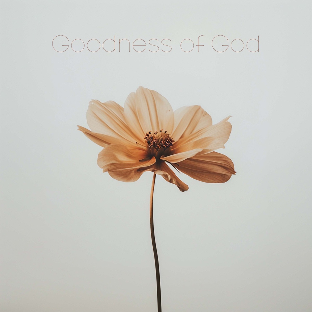 Goodness of God - Single by Anthem Worship, Genavieve Linkowski & Mass Anthem album cover