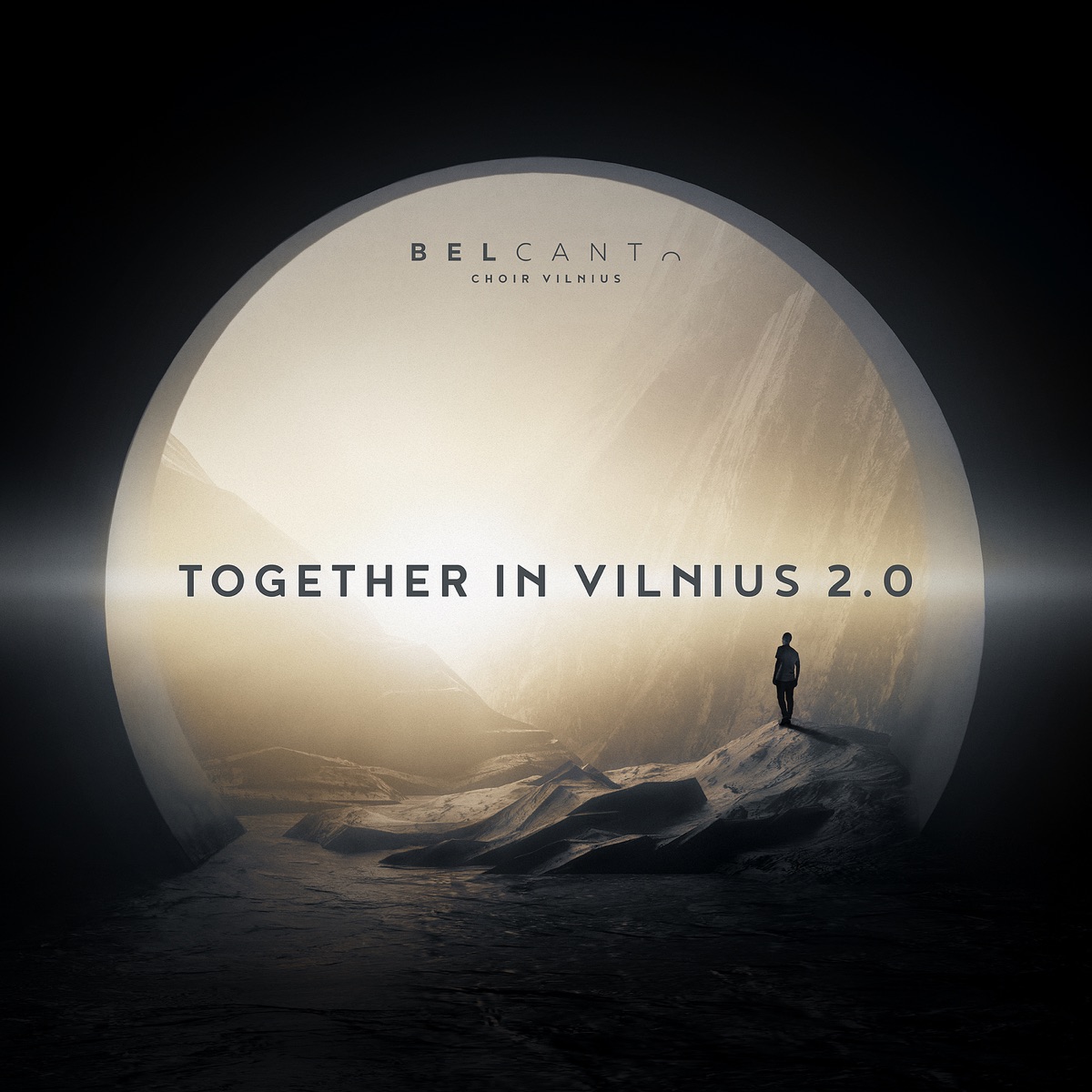 Together in Vilnius 2.0 - Single by Bel Canto Choir Vilnius album cover