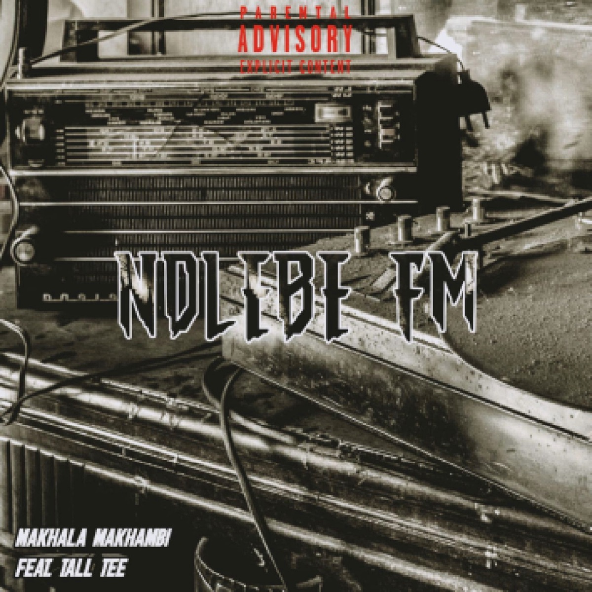 Ndlebe Fm (feat. Tall Tee) - Single by Makhala Makhambi album cover