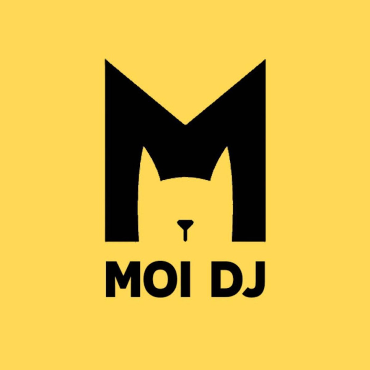 Lệ Lưu Ly (Vinahouse) - Single by MOI DJ, d&t & Vũ Phụng Tiên album cover