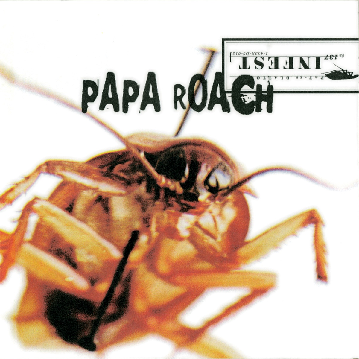 Infest by Papa Roach album cover