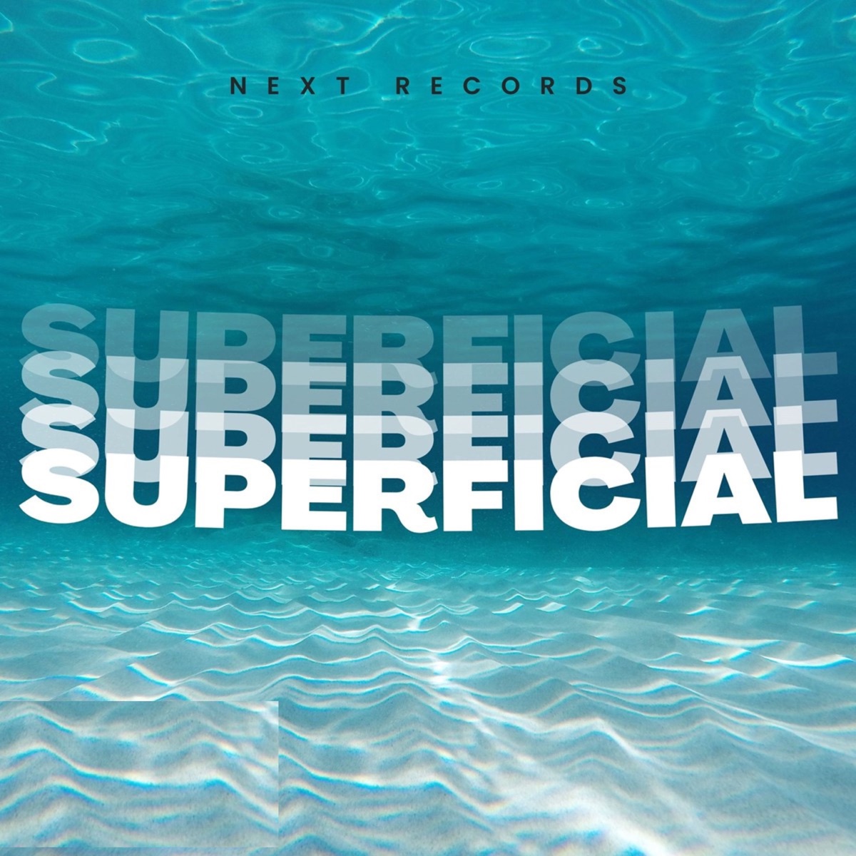 Superficial - Single by erva doce, Next Records & WP album cover