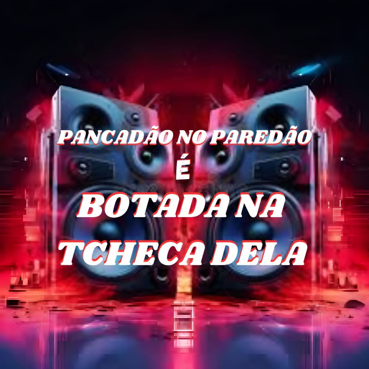 Pancadão no Paredão É Botada na Tcheca Dela - Single by NT DO MANDELÂO & DJ MÓBREK OFICIAL album cover