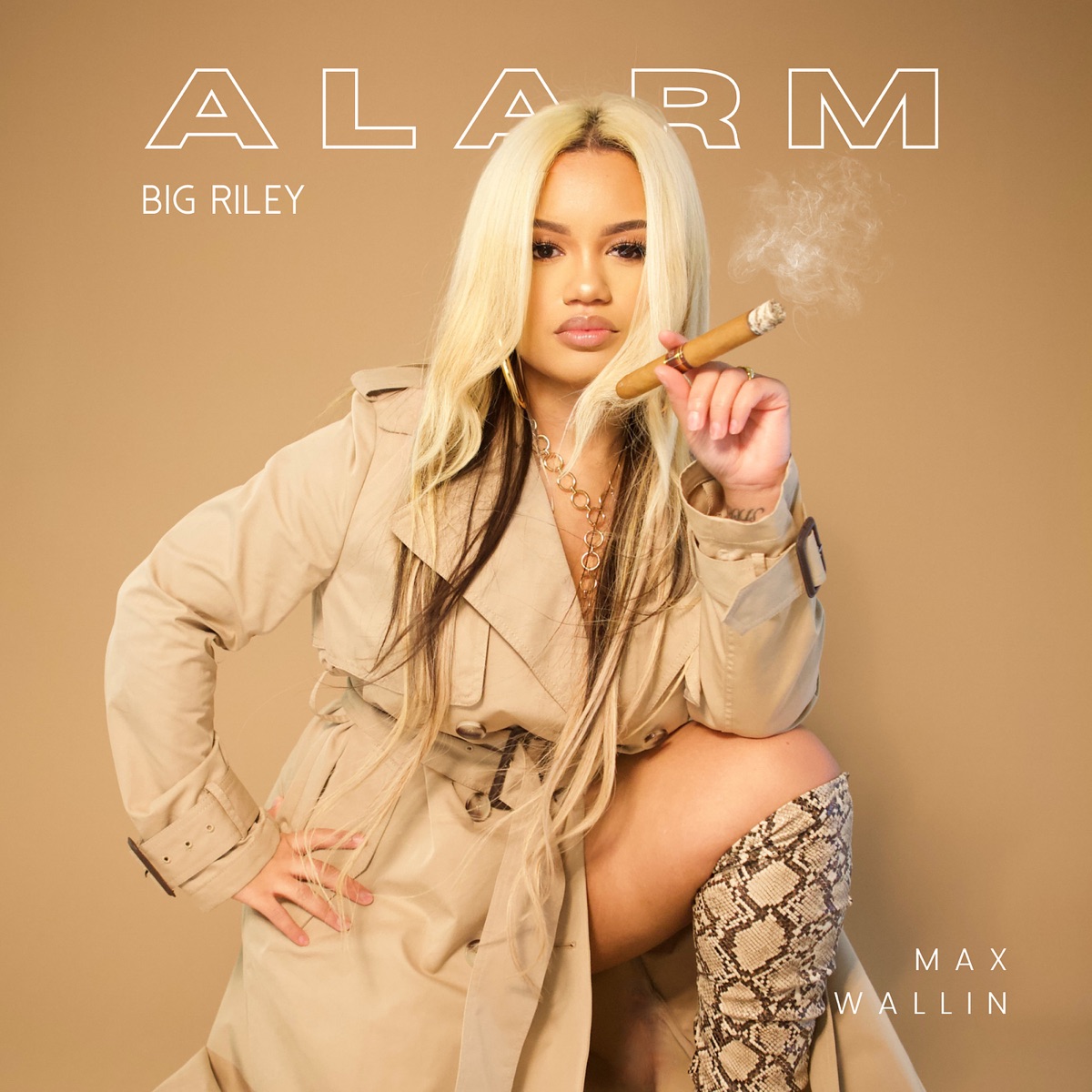 Alarm - Single by Big Riley album cover