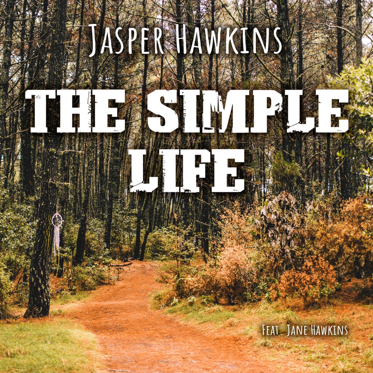 The Simple Life (feat. Jane Hawkins) - Single by Jasper Hawkins album cover