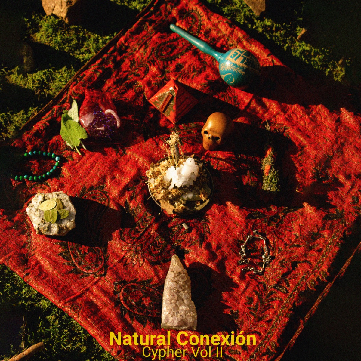 Natural Conexión - Single by Kelü, Lion Nativo, geófita, Chinitafari, Aitue & Almeyda album cover