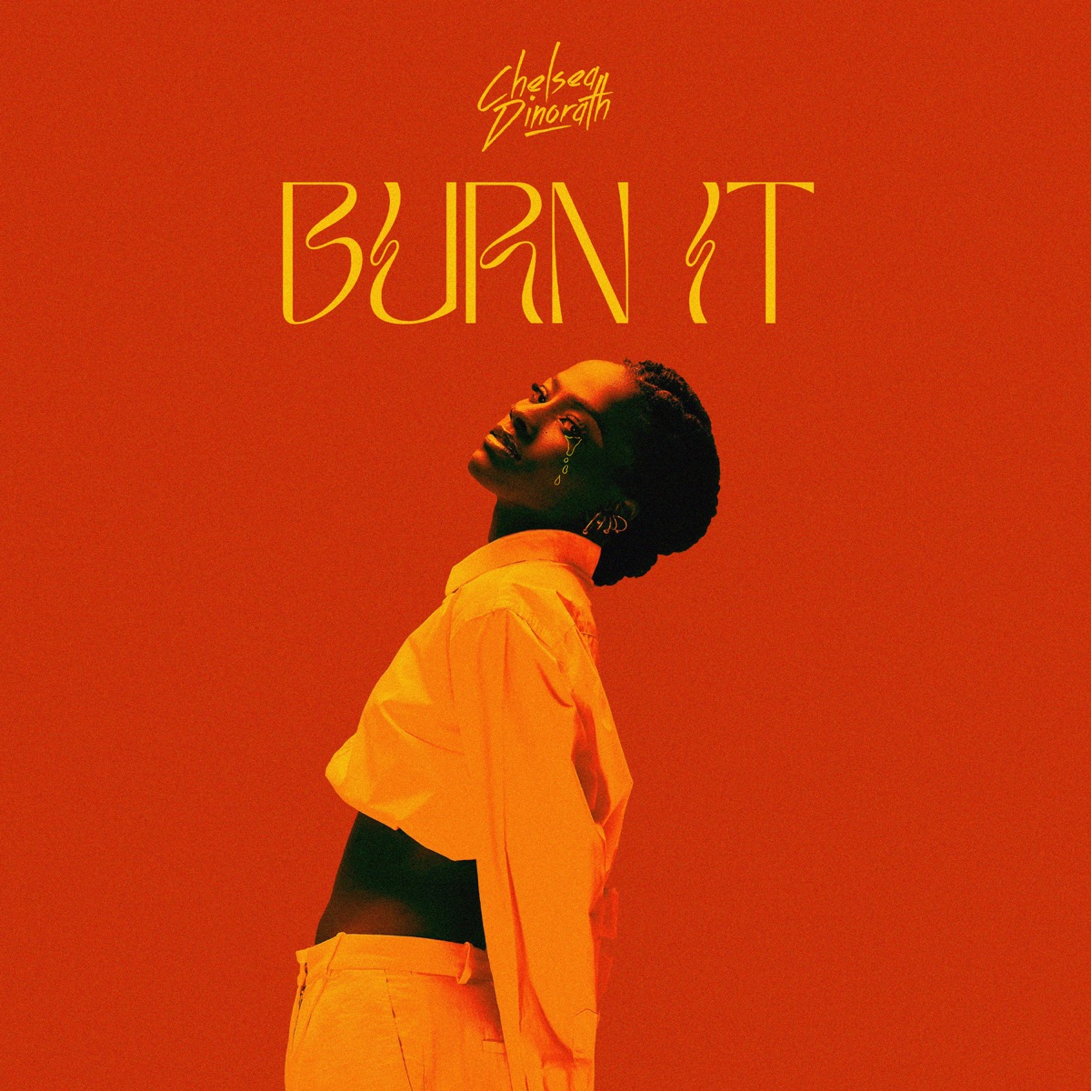 Burn It - Single by Chelsea Dinorath album cover