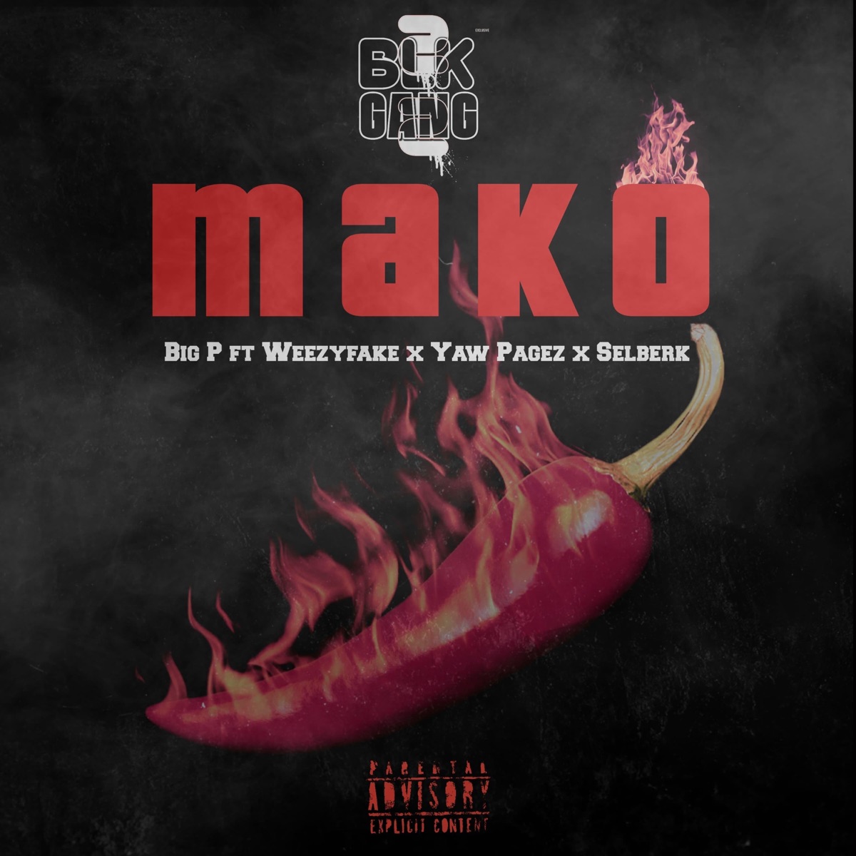 Mako (feat. Yaw Pagez, Weezyfake & Selberk) - Single by Biggest P album cover