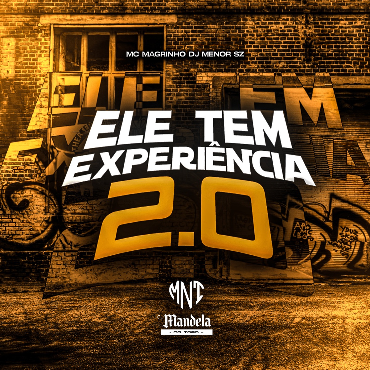 Ele Tem Experiência 2.0 (feat. Mc Magrinho) - Single by dj menor sz album cover