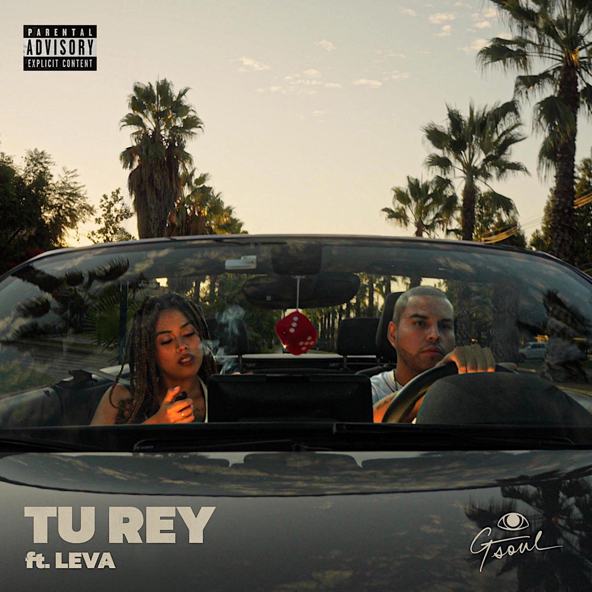 tu rey - Single by G-Soul & Leva album cover