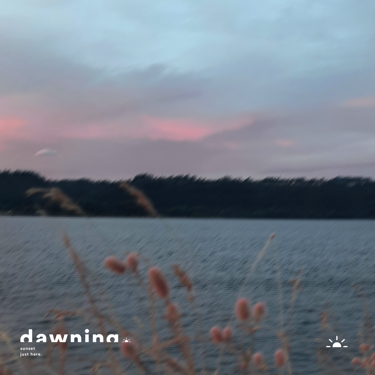 Sunset - Single by just here. album cover