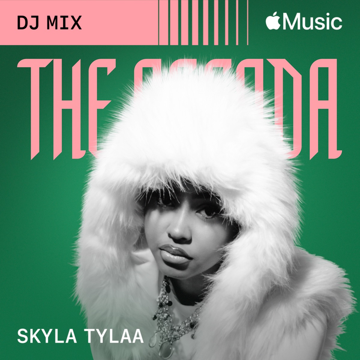 The Agenda: March 2025 (DJ Mix) by Skyla Tylaa album cover