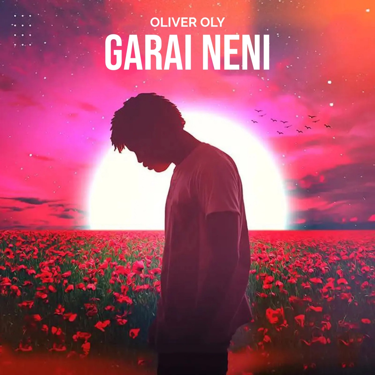 Garai Neni - Single by Oliver Oly album cover