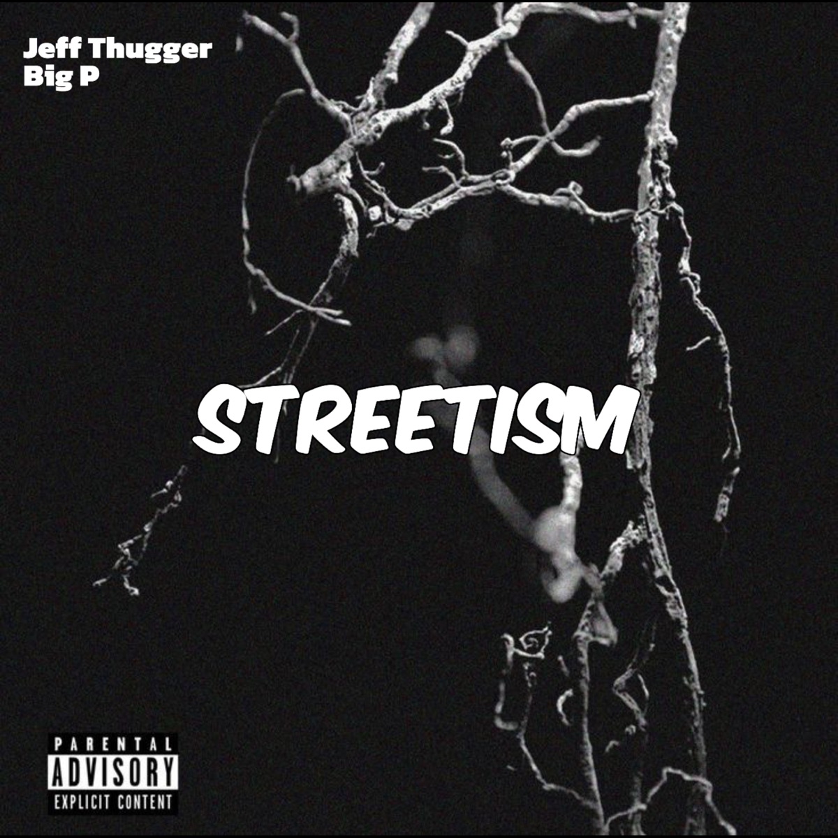 Streetism (feat. Big P) - Single by Jeff Thugger album cover