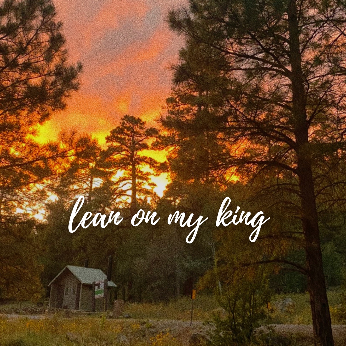 Lean on My King - Single by Emily Ann album cover