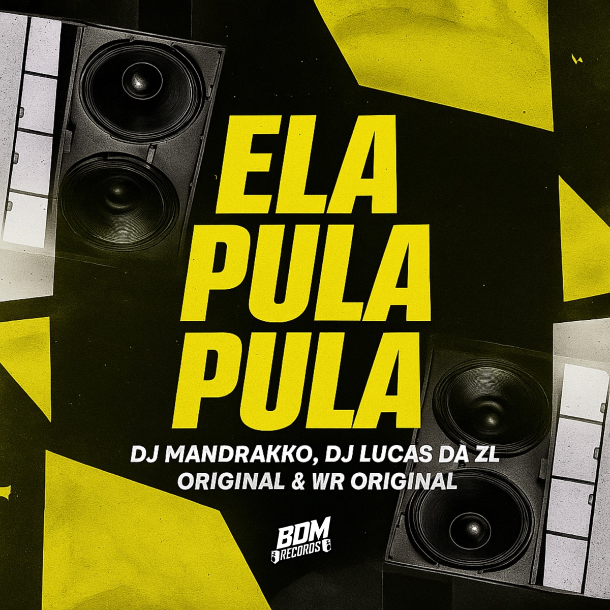 Ela Pula Pula - Single by DJ Mandrakko, DJ LUCAS DA ZL ORIGINAL & WR ORIGINAL album cover