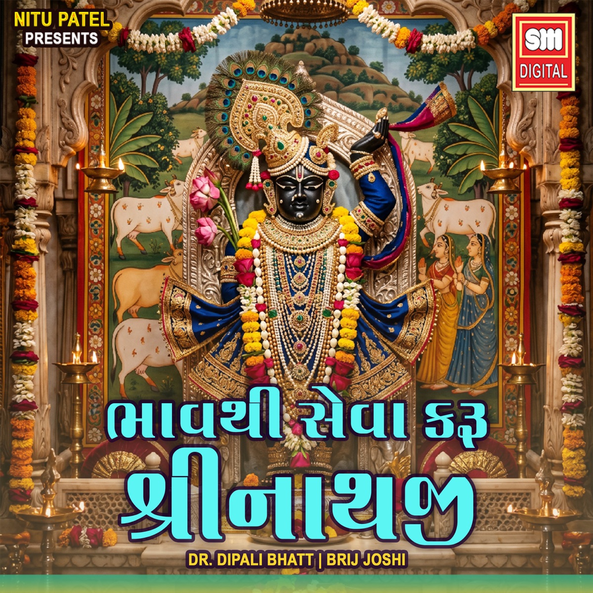 Bhav Thi Seva Karo Shreenthji - Single by Dr. Dipali Bhatt & Brij Joshi album cover