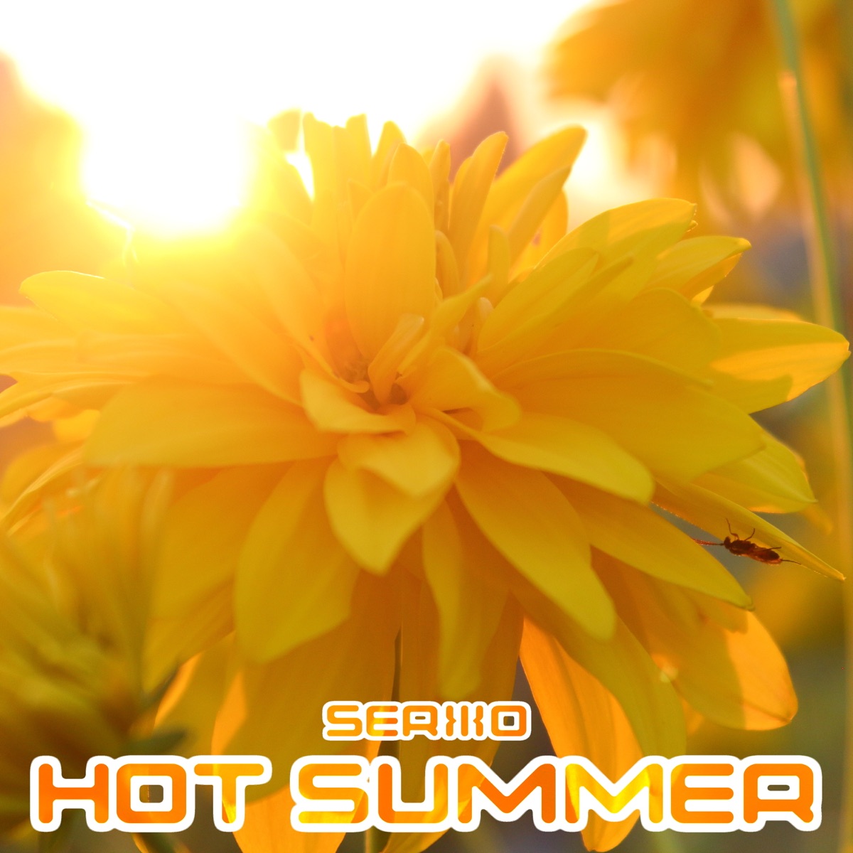 Hot Summer - Single by SERO album cover