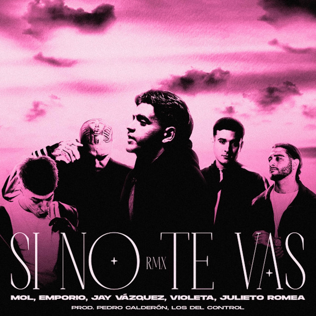 SI NO TE VAS RMX (feat. Pedro Calderon, Los del Control & Julieto Romea) - Single by MOL, Violeta, Emporio & Jay Vazquez album cover