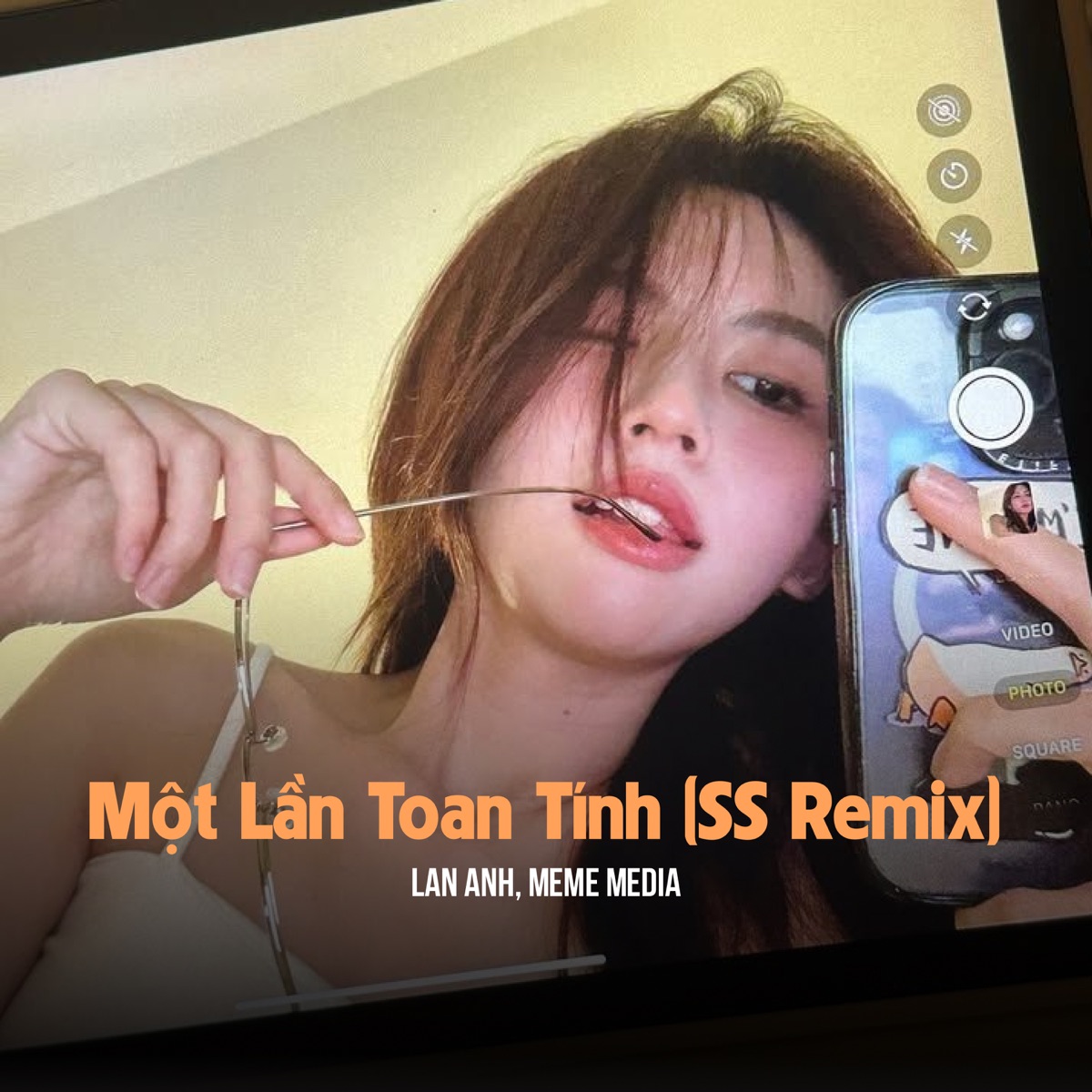Một Lần Toan Tính (SS Remix) - Single by Lan Anh & MeMe Media album cover