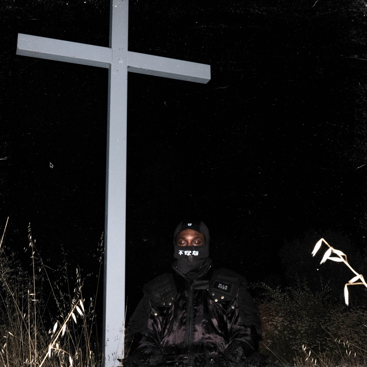 I LAY DOWN MY LIFE FOR YOU by JPEGMAFIA album cover