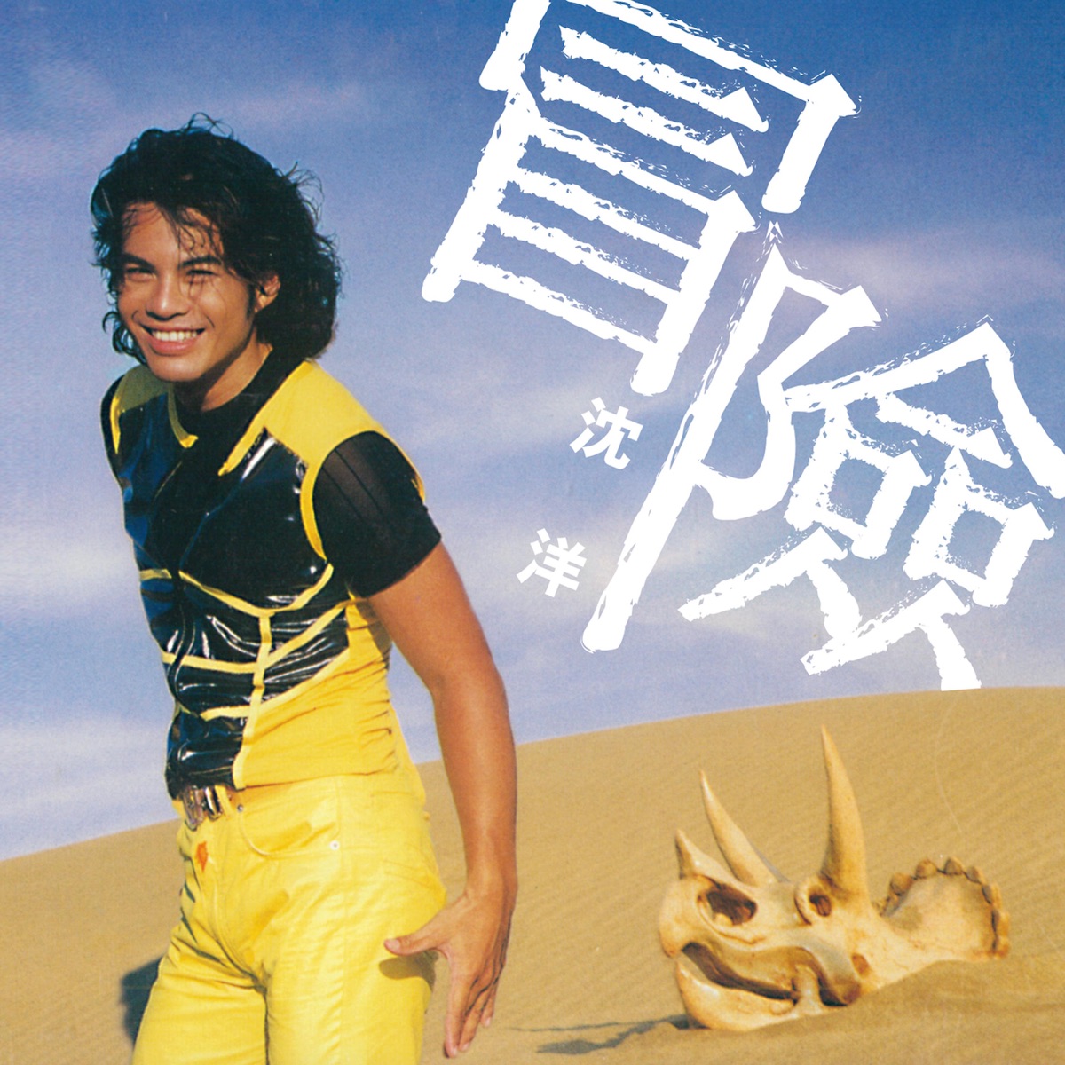 冒險 by Shenyang album cover