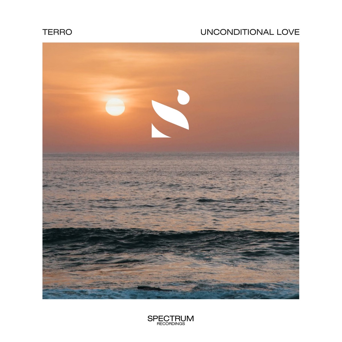 Unconditional Love - Single by terro album cover