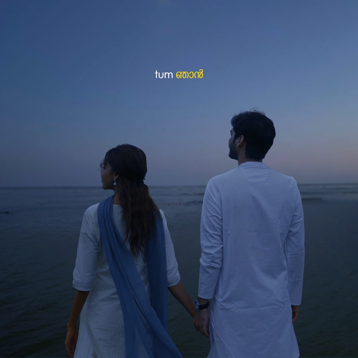 tum/njan (feat. Anurag Mishra & Pavitra Krishnan) [Lofi Flip] - Single by Keethan & VIBIE album cover