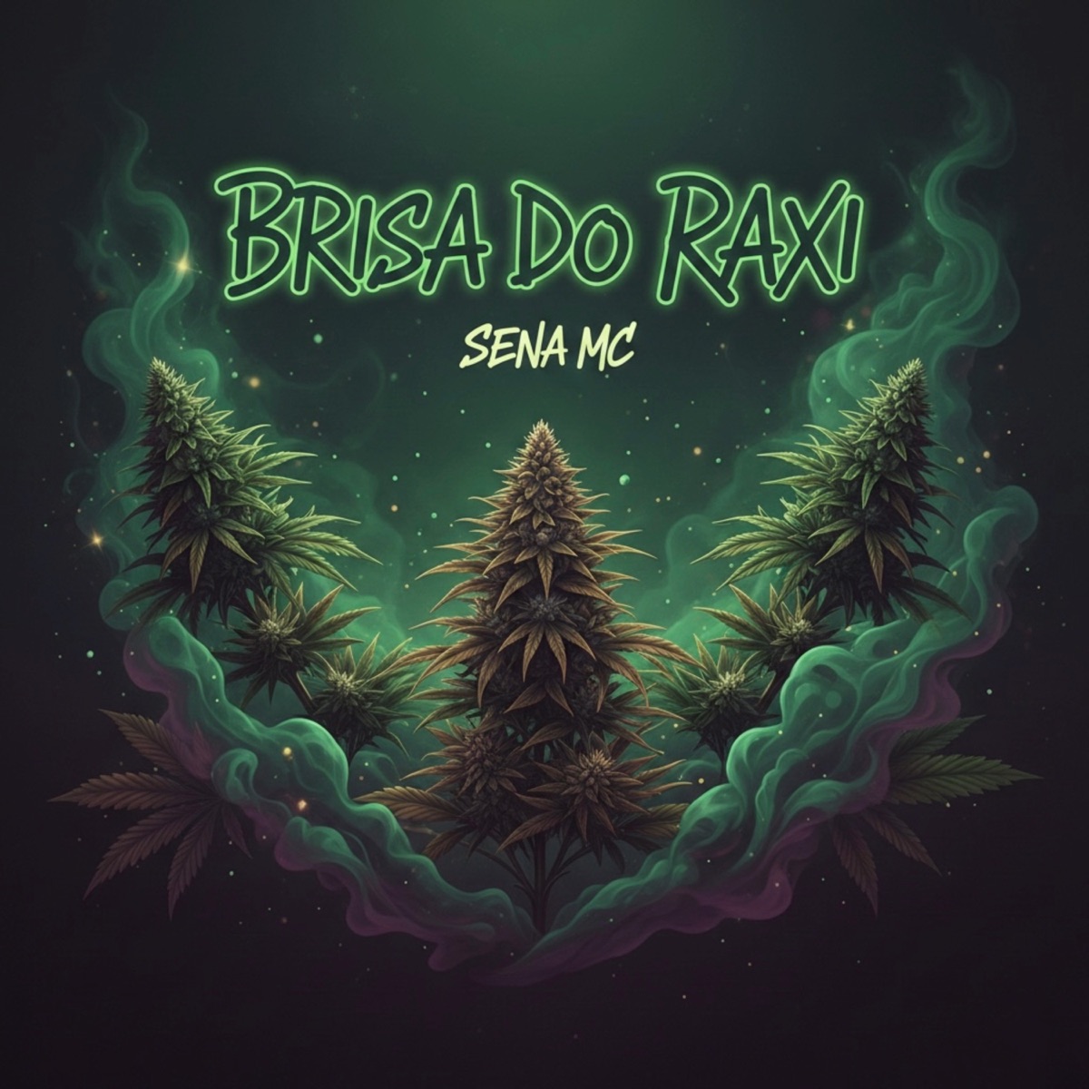 Brisa do Raxi - Single by Sena Mc album cover