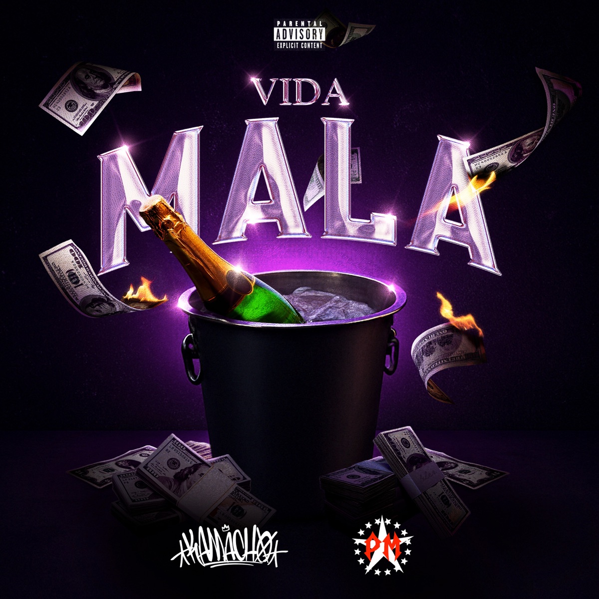 VIDA MALA - Single by Kamacho & EL PM album cover
