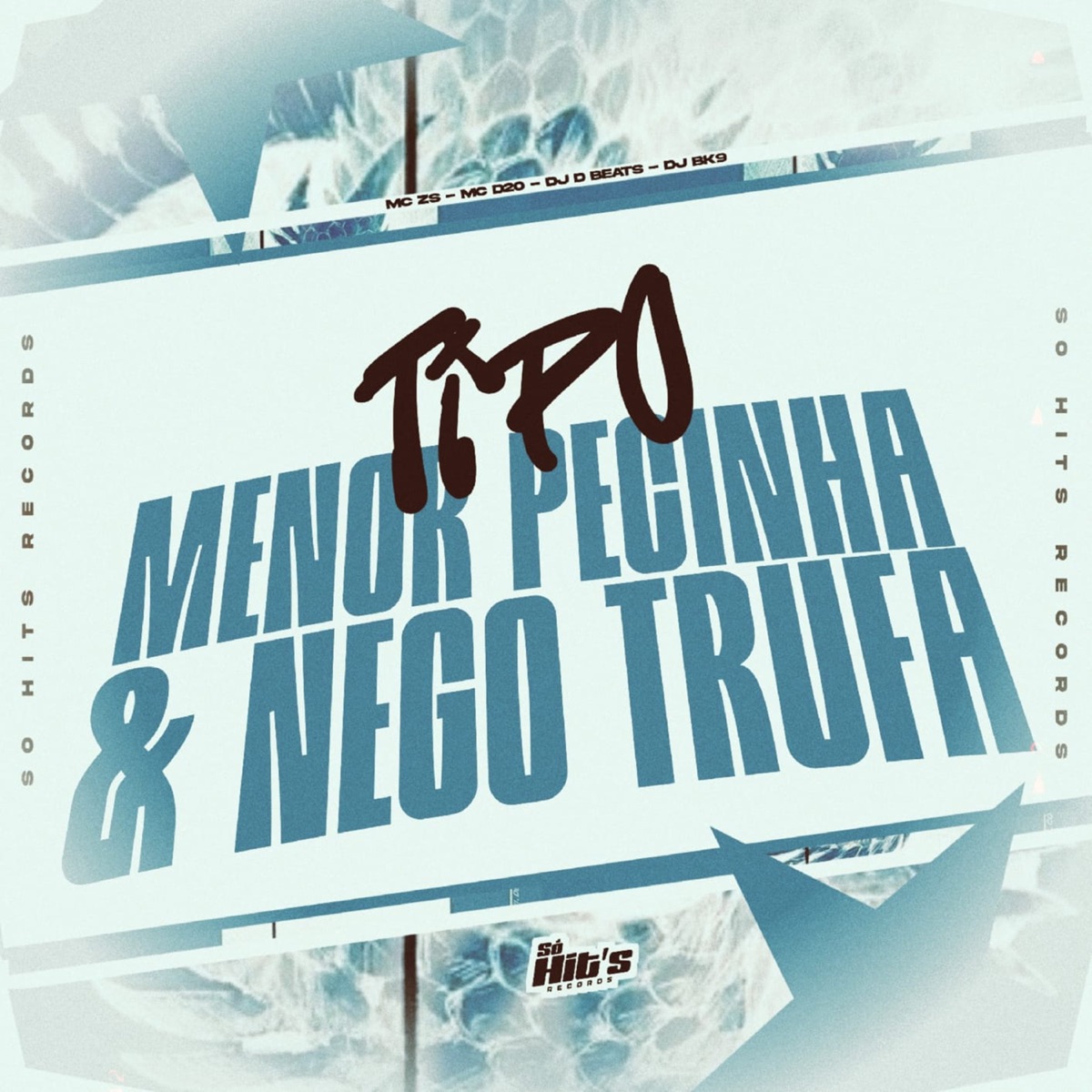 Tipo Menor Pecinha & Nego Trufa (feat. MC ZS) - Single by DJ BK9, DJ D BEATS & Mc D20 album cover