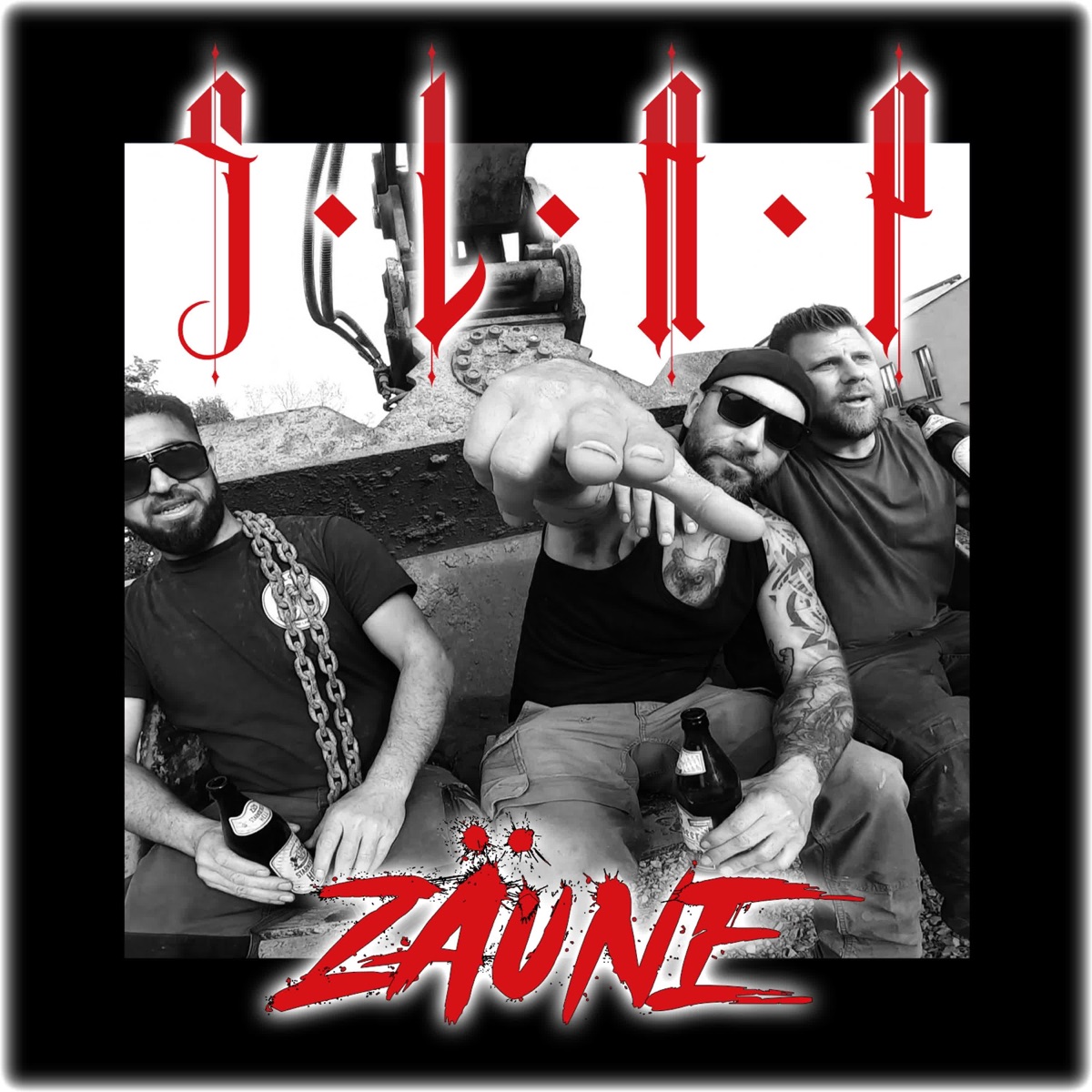 Zäune - Single by S.L.A.P. album cover