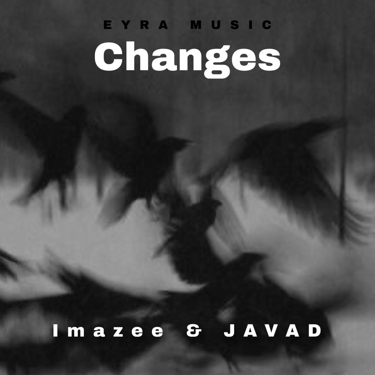 Changes - Single by Imazee & Javad album cover