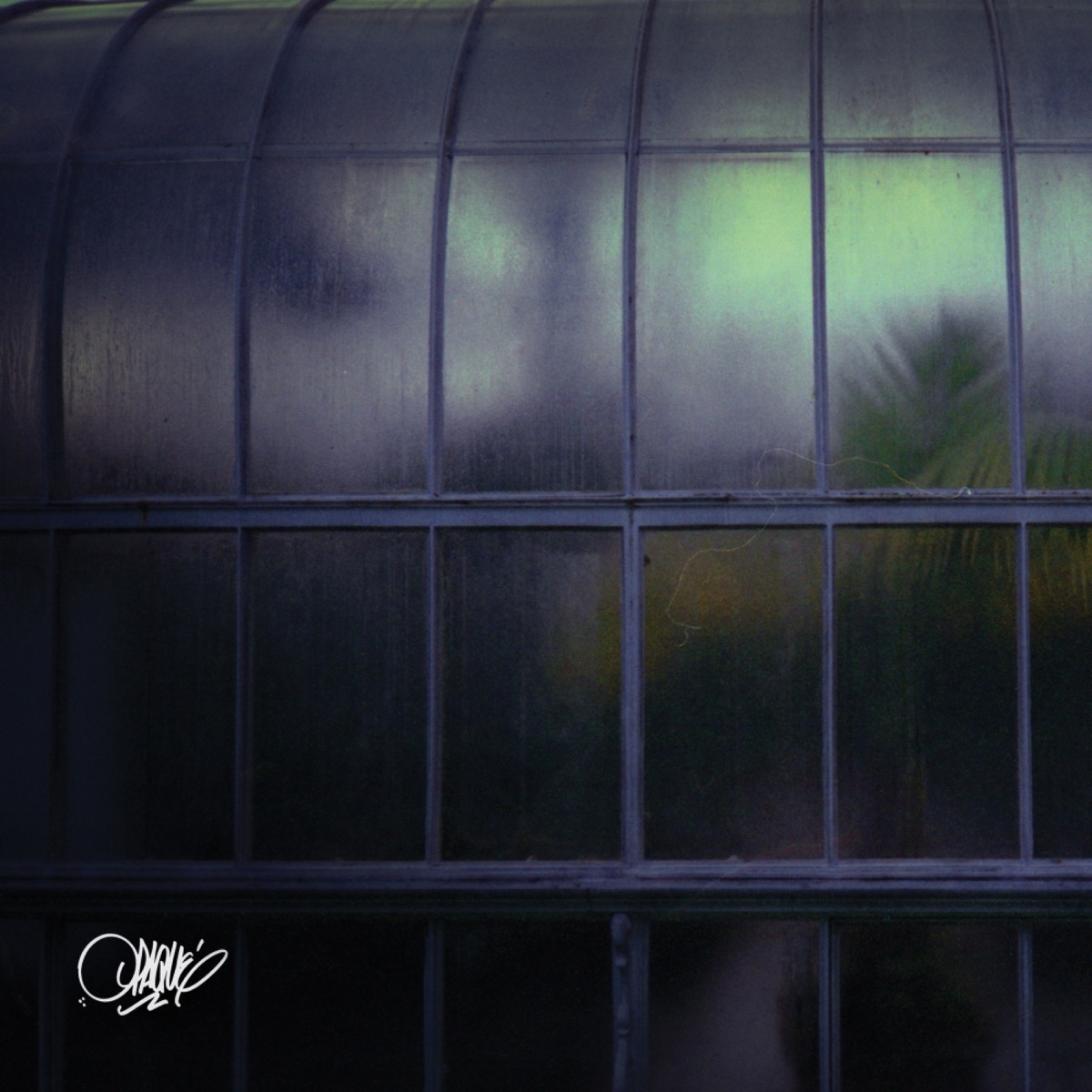 Opaque by Spaze Windu album cover
