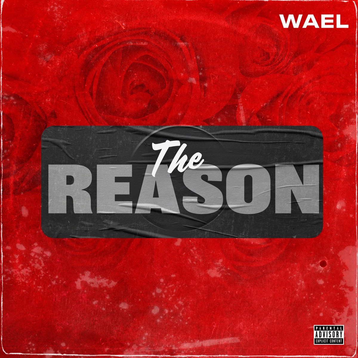 The Reason - Single by Wael album cover