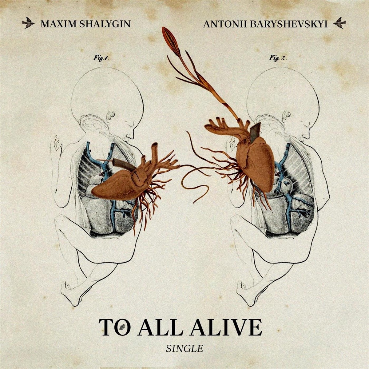 Shalygin: Agnus Dei - Single by Maxim Shalygin & Antonii Baryshevskyi album cover