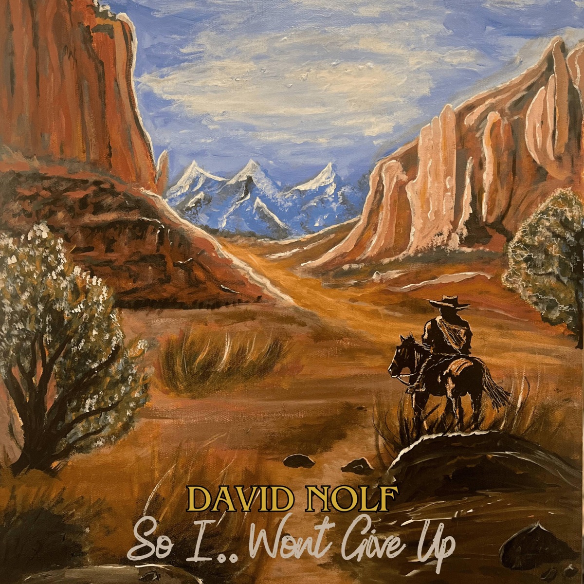 So I.. Wont Give Up - Single by David Nolf album cover